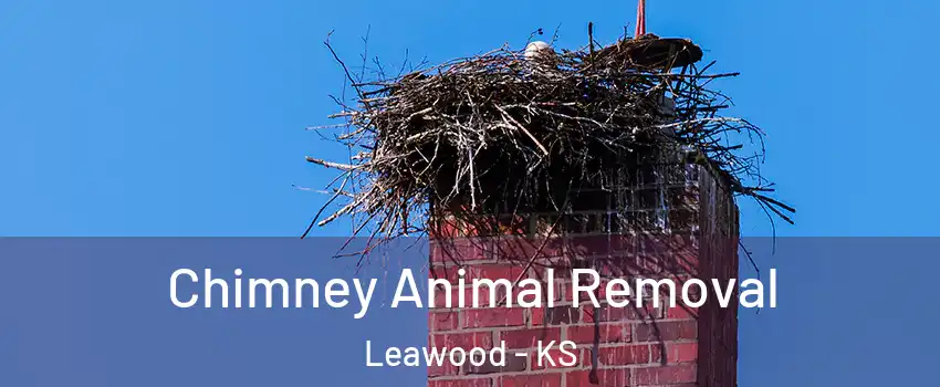 Chimney Animal Removal Leawood - KS