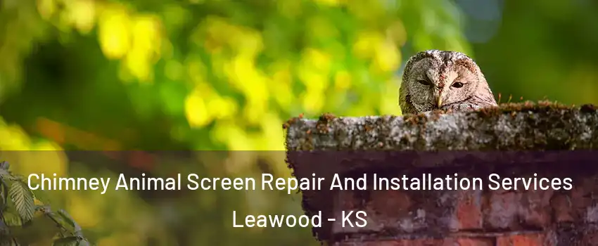  Chimney Animal Screen Repair And Installation Services Leawood - KS