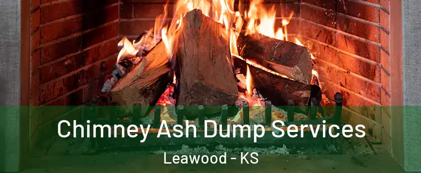  Chimney Ash Dump Services Leawood - KS