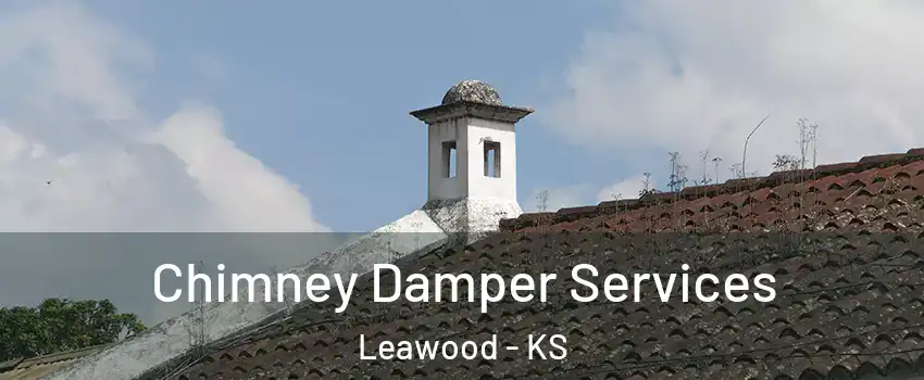  Chimney Damper Services Leawood - KS