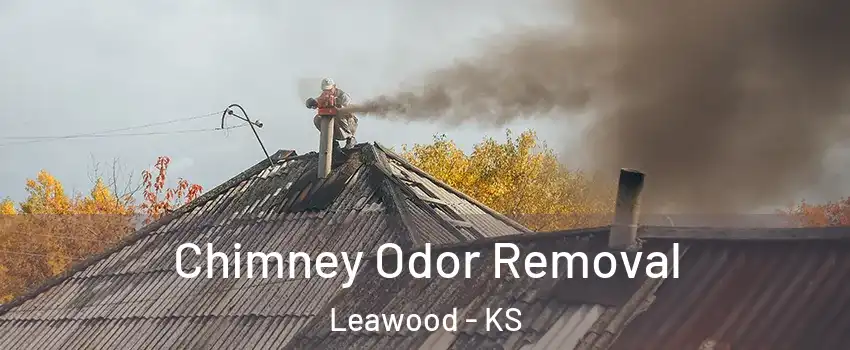  Chimney Odor Removal Leawood - KS