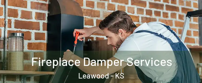  Fireplace Damper Services Leawood - KS