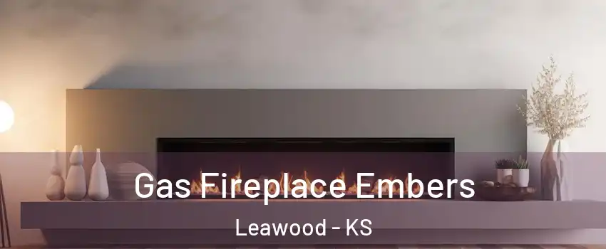  Gas Fireplace Embers Leawood - KS