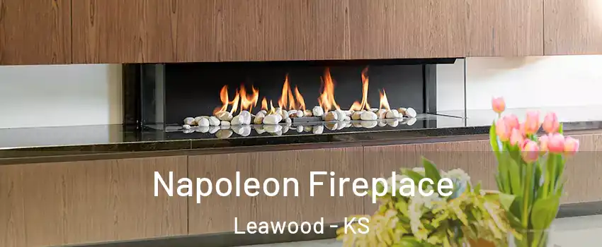  Napoleon Fireplace Leawood - KS