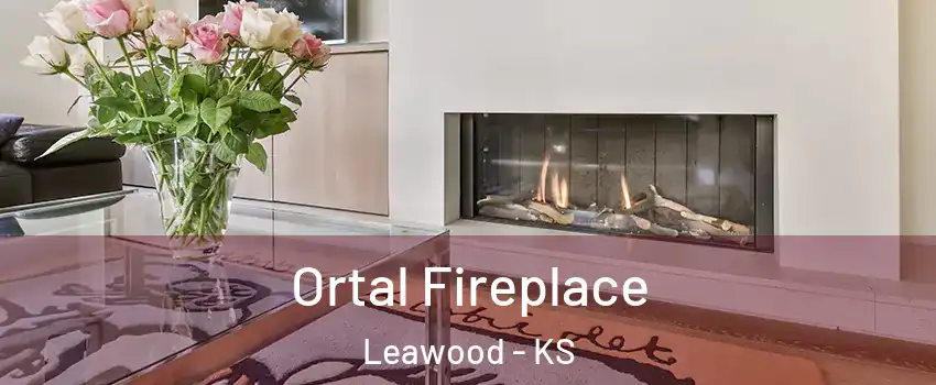 Ortal Fireplace Leawood - KS